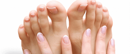 Ella Bache - Food Delivery Shop