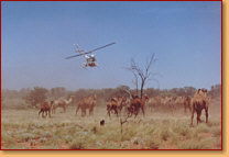 Kings Creek Station - Food Delivery Shop 2