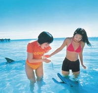 Kookaburra Air - Food Delivery Shop