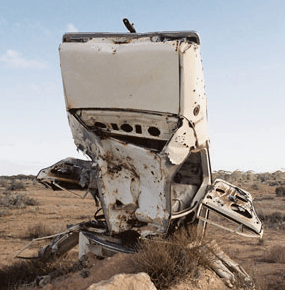 Anthony Riding Gallery - Pet Food Australia