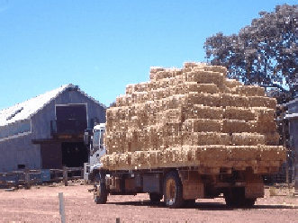 Avondale Discovery Farm - Food Delivery Shop 1