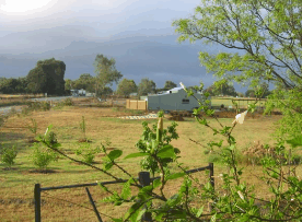 The House Of Honey - Food Delivery Shop 2