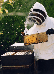 The House Of Honey - Food Delivery Shop 3