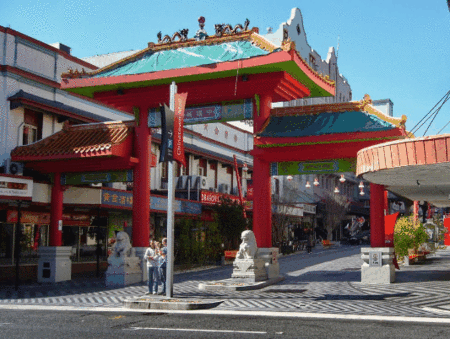 China Town - Brisbane - Pet Food Australia