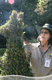 Roma Street Parkland - Food Delivery Shop 1