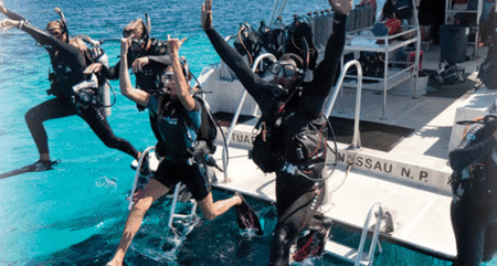 Snorkel Safari Brisbane - Food Delivery Shop