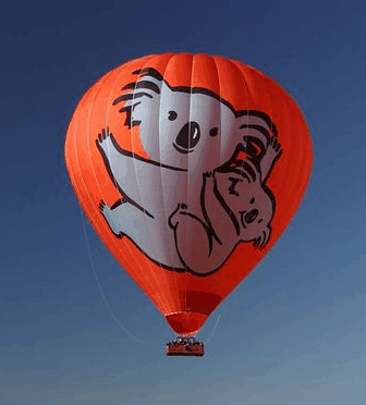 Hot Air Balloon Brisbane - Pet Food Australia