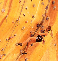 Rocksports Indoor Climbing - Pet Food Australia