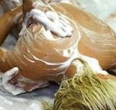 Exotique Massage - Pet Food Australia