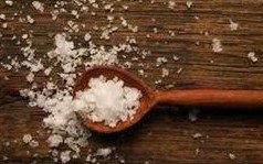 Exotique Massage - Pet Food Australia 2