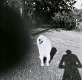 Fehily Contemporary - Food Delivery Shop 2