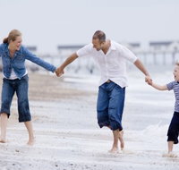 Renewyou Wellness Centre - Pet Food Australia