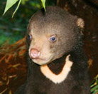 Perth Zoo - Pet Food Australia