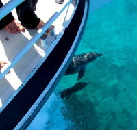 Pelican Charters - Pet Food Australia