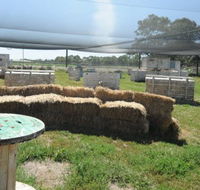 We Are Paintball - Food Delivery Shop