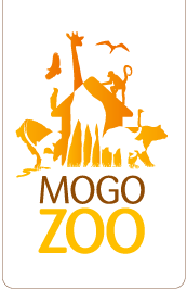 Mogo Zoo - Food Delivery Shop