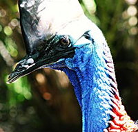 Alma Park Zoo - Food Delivery Shop