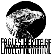 Eagles Heritage - Food Delivery Shop 0