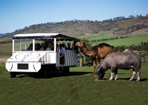 Zoo Doo Wildlife Park - Food Delivery Shop 2