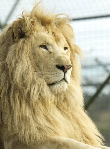 Zoo Doo Wildlife Park - Food Delivery Shop 3