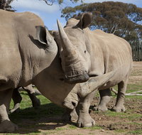 Monarto Zoo - Food Delivery Shop