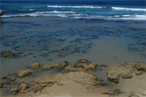 Canberra Contemporary Art Space - Food Delivery Shop