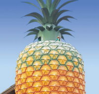 The Big Pineapple - Pet Food Australia