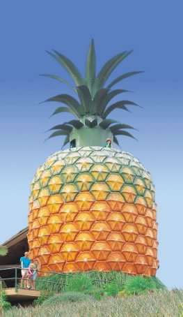 The Big Pineapple - Pet Food Australia 0