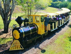 The Big Pineapple - Pet Food Australia 1