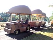 The Big Pineapple - Pet Food Australia 2