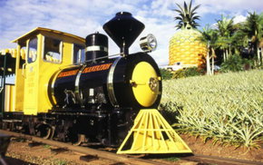 The Big Pineapple - Pet Food Australia 3