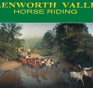 Glenworth Valley Horseriding - Pet Food Australia