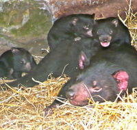 East Coast Natureworld - Food Delivery Shop