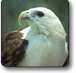 Kakadu National Park - Food Delivery Shop