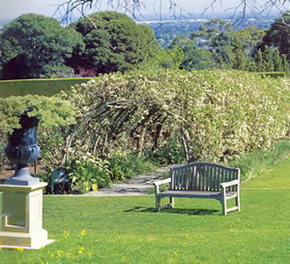 Carrick Hill - Food Delivery Shop 2
