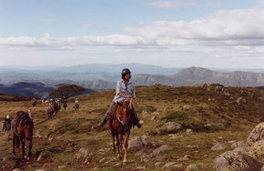 High Country Horses - Food Delivery Shop 0