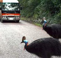 Kookaburra Tours - Pet Food Australia