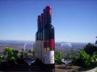 Mount Tamborine Winery & Homestead - Food Delivery Shop 0