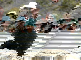 Prospect Vale TAS Pet Food Australia