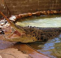 Wyndham Zoological Gardens and Crocodile Park - Pet Food Australia