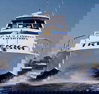 Sunshine Coast Fishing Charters - Pet Food Australia