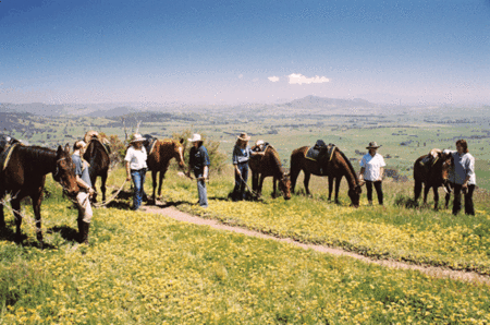 Watsons Trail Rides - Food Delivery Shop 1