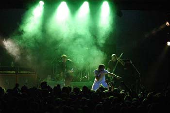 The Tivoli - Pet Food Australia 1