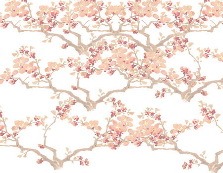 Zen Day Spa - Food Delivery Shop 3