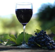 Lion Mill Vineyards - Pet Food Australia