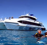 Silver Swift - Pet Food Australia