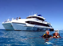 Silver Swift - Pet Food Australia 0