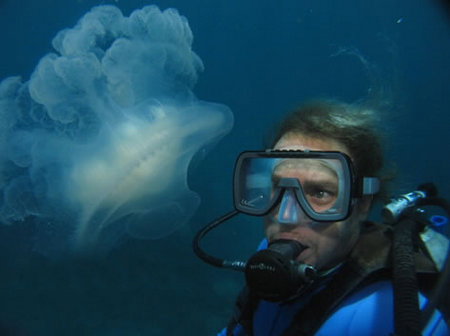 Silver Swift - Pet Food Australia 2