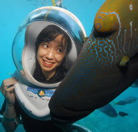 Sunlover Reef Cruises - Pet Food Australia