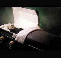 Coffin Ride - Pet Food Australia